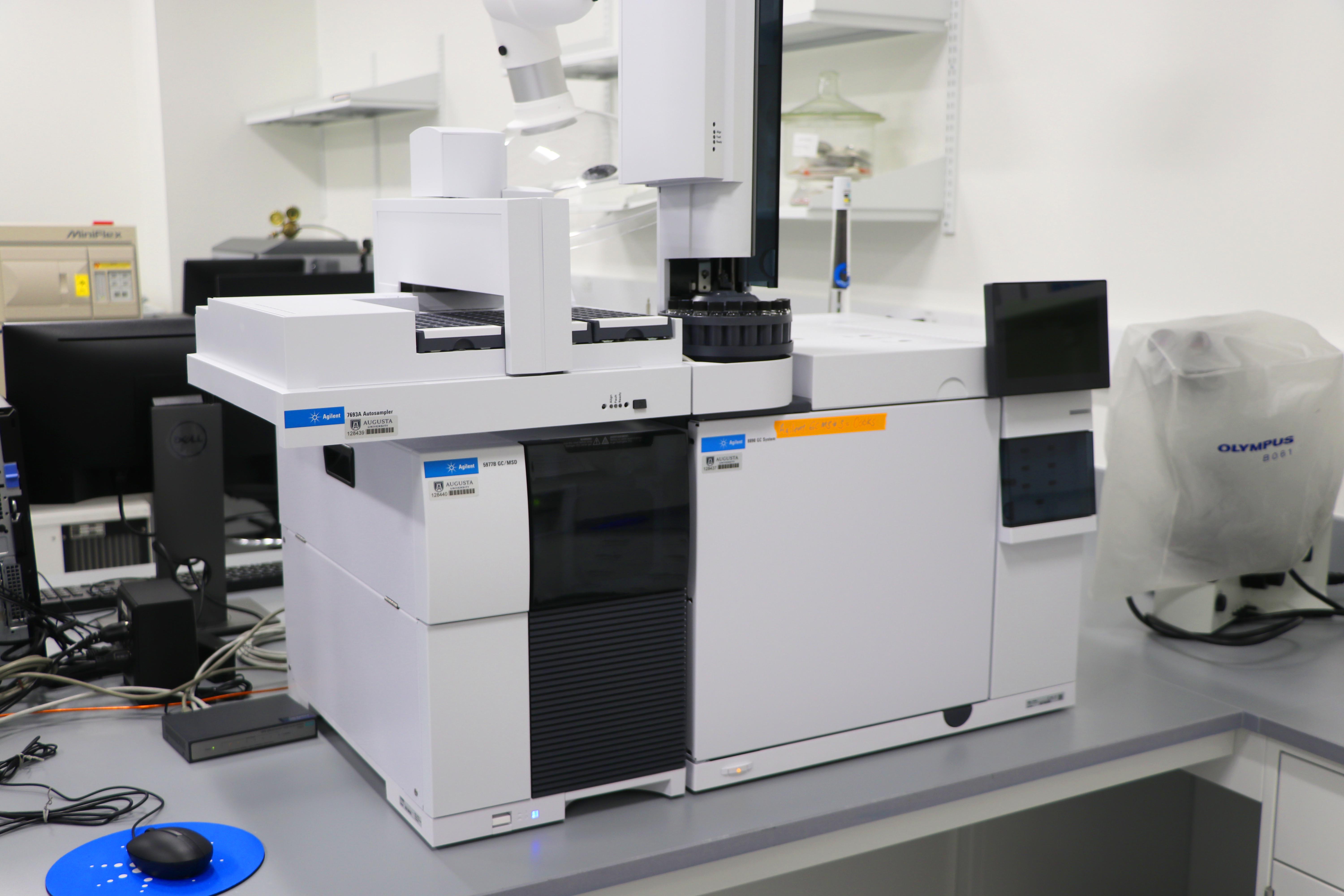 Gas chromatography-mass spectrometry