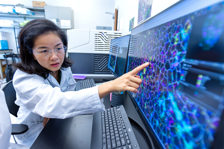 A female scientist points to a screen that shows an extreme closeup of cells in human blood.