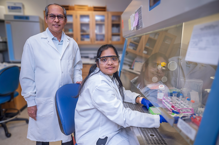 A male and female researcher in a lab.