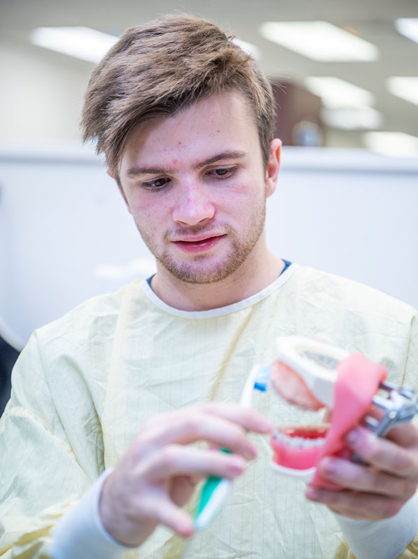 dental hygiene with teeth