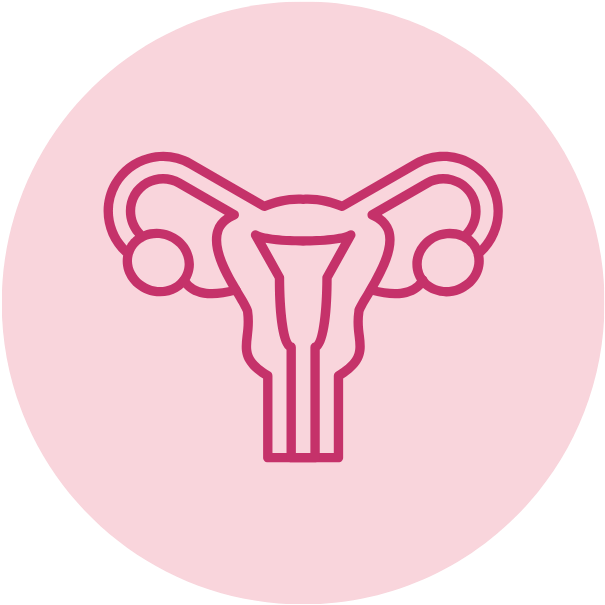 uterus icon