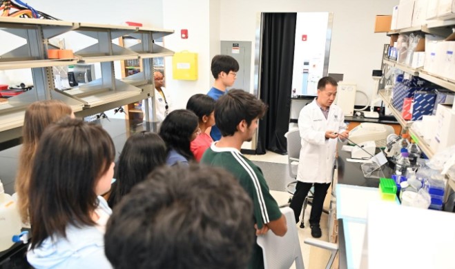 Summer Research Experience 2025