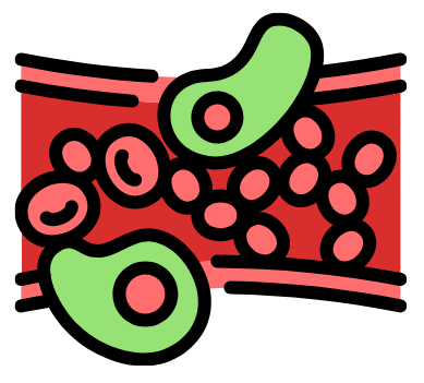 Graphic of inflammation