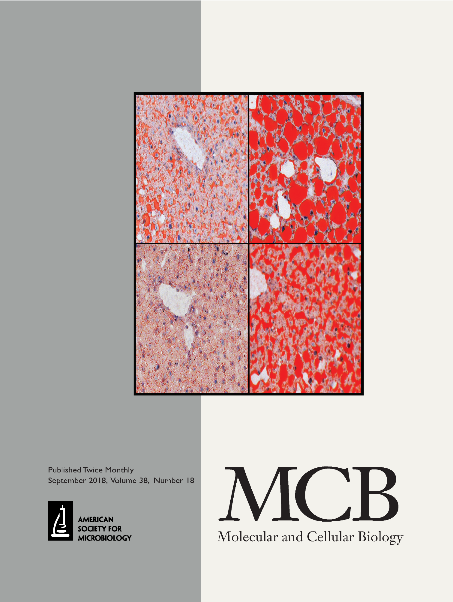 Journal cover of MCB: Molecular and Cellular Biology. American Society for Microbiology. Published Twice Monthly. September 2018, Volume 38, Number 18.