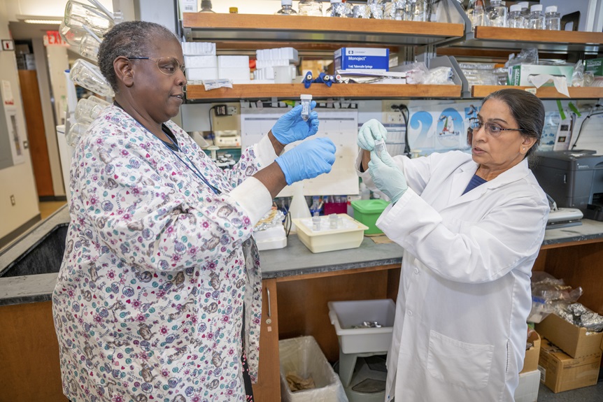 Dr. Munn's team members working together in lab.