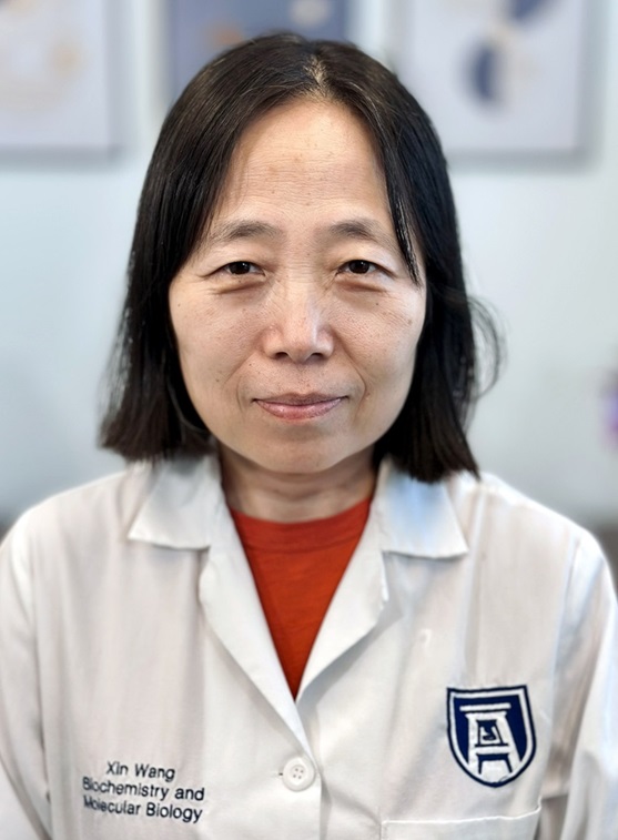 photo of Xin Wang