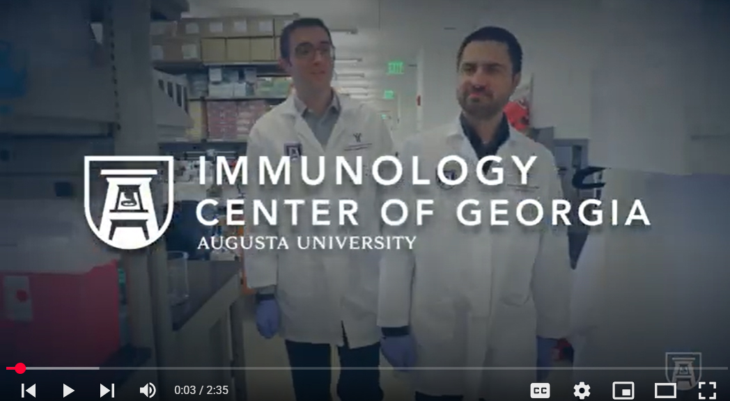 Screenshot with IMMCG logo