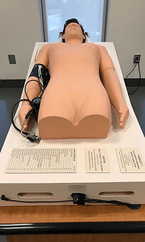 Harvey Cardiopulmonary Simulator