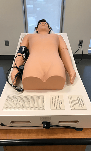 Harvey CardioPulmonary Simulator
