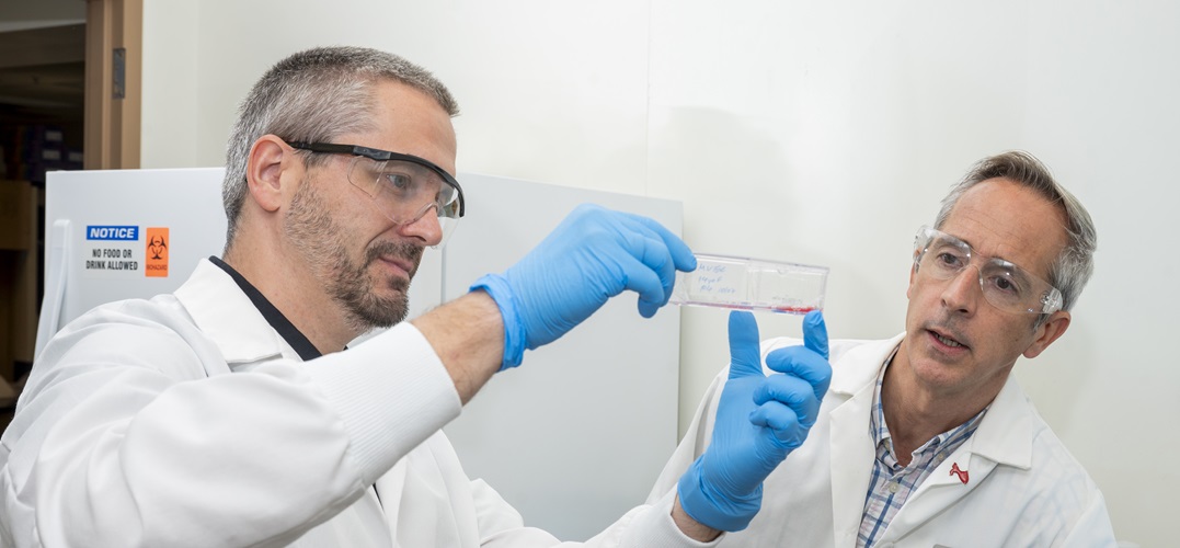 Drs. Chantemele and Kovacs