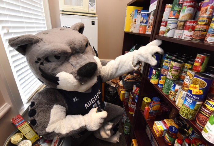 Open paws pantry