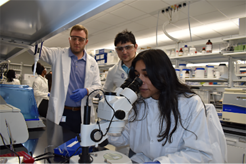 Three people in white coats looking at a slide