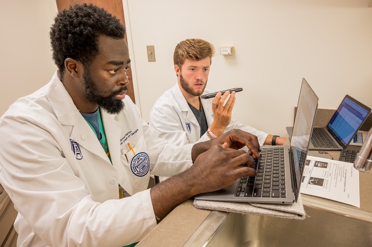 Two male students looking at computer during telemedicine 