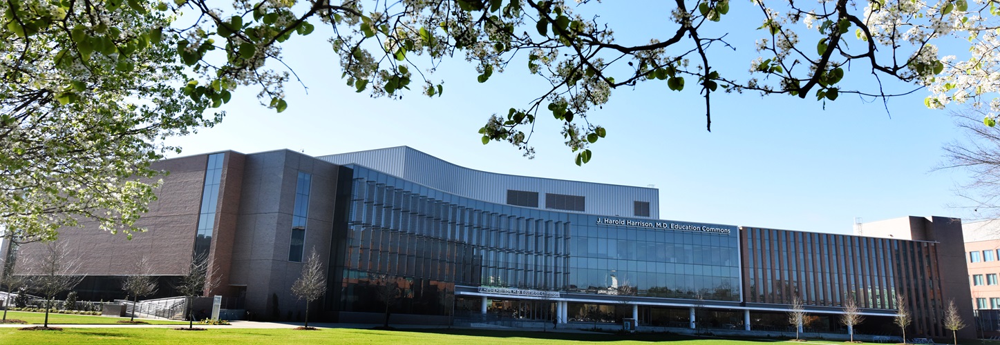 Education Commons in the spring