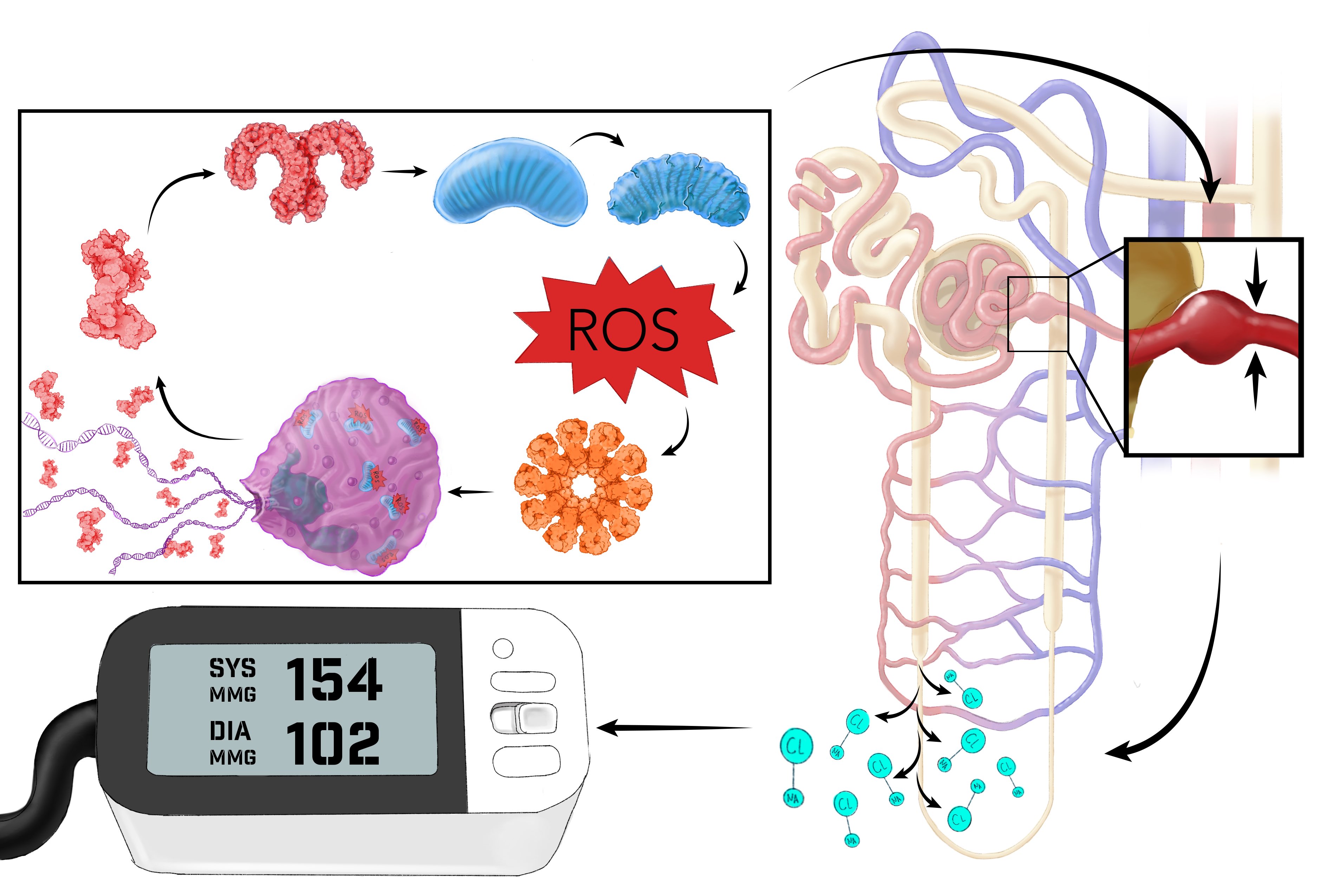 graphic illustration of scienctific project 2