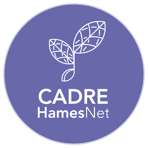 CADRE- Clinician Academic Development and Research Education