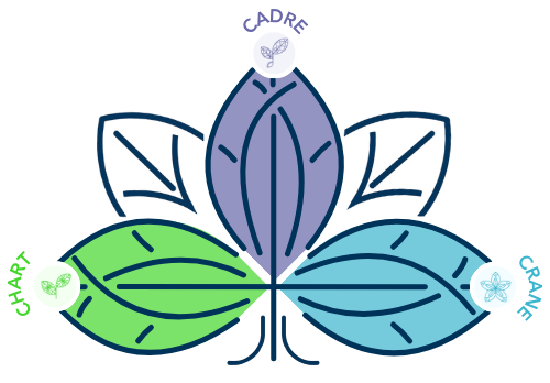 Hamesnet graphic that resembles three attaching leaves made up of Chart, Cadre, Crane
