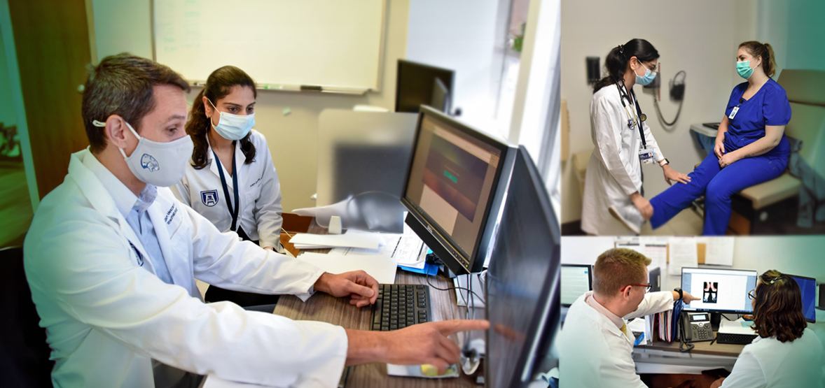 Faculty and fellow images