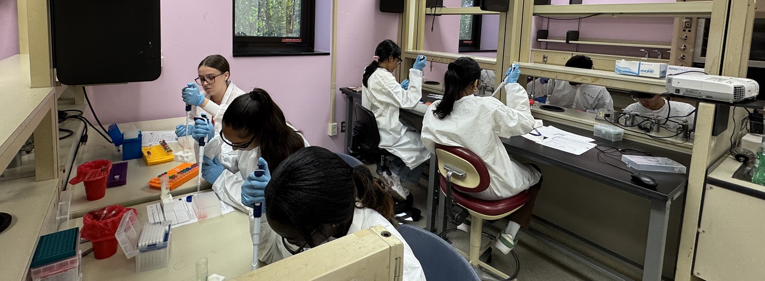 Pathology lab members talking to each other