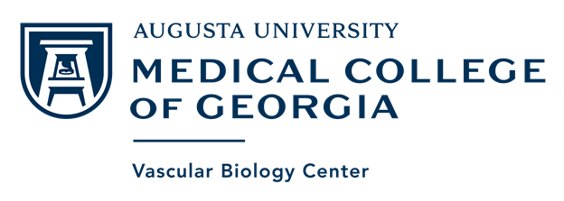 Augusta University VBC Logo
