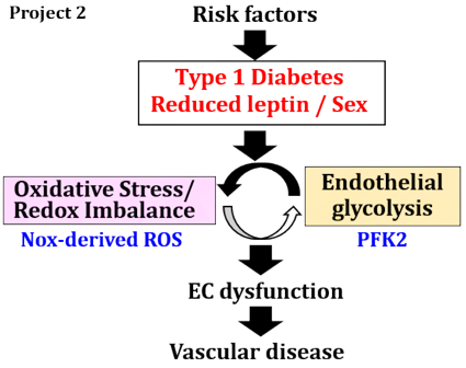 Project 2 figure as described on the page under the figure.