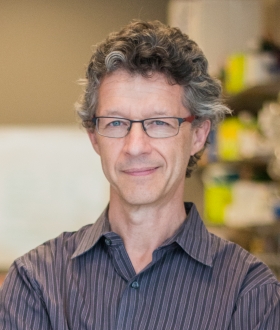 photo of Zoltan Arany, PhD