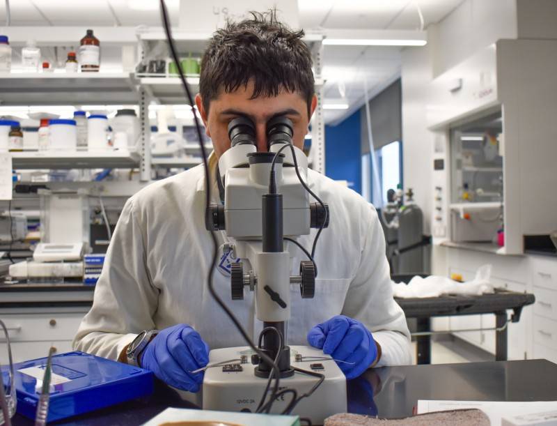 man looking through a microscope