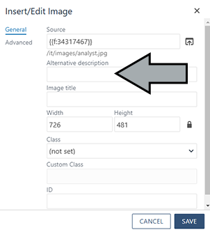 Screenshot showing location of alternative description field for image uploads