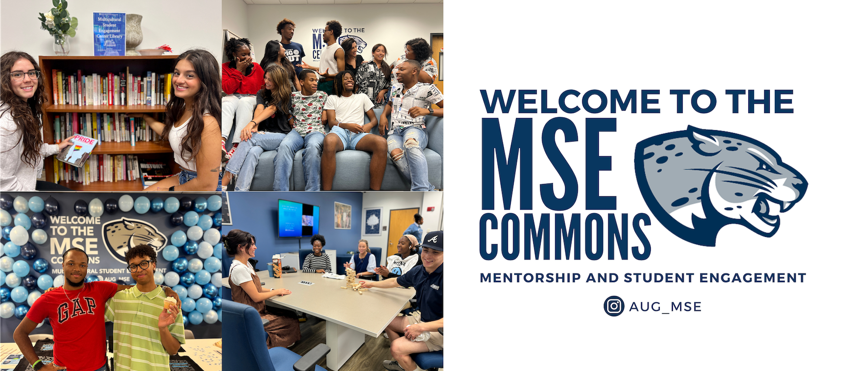 mse commons
