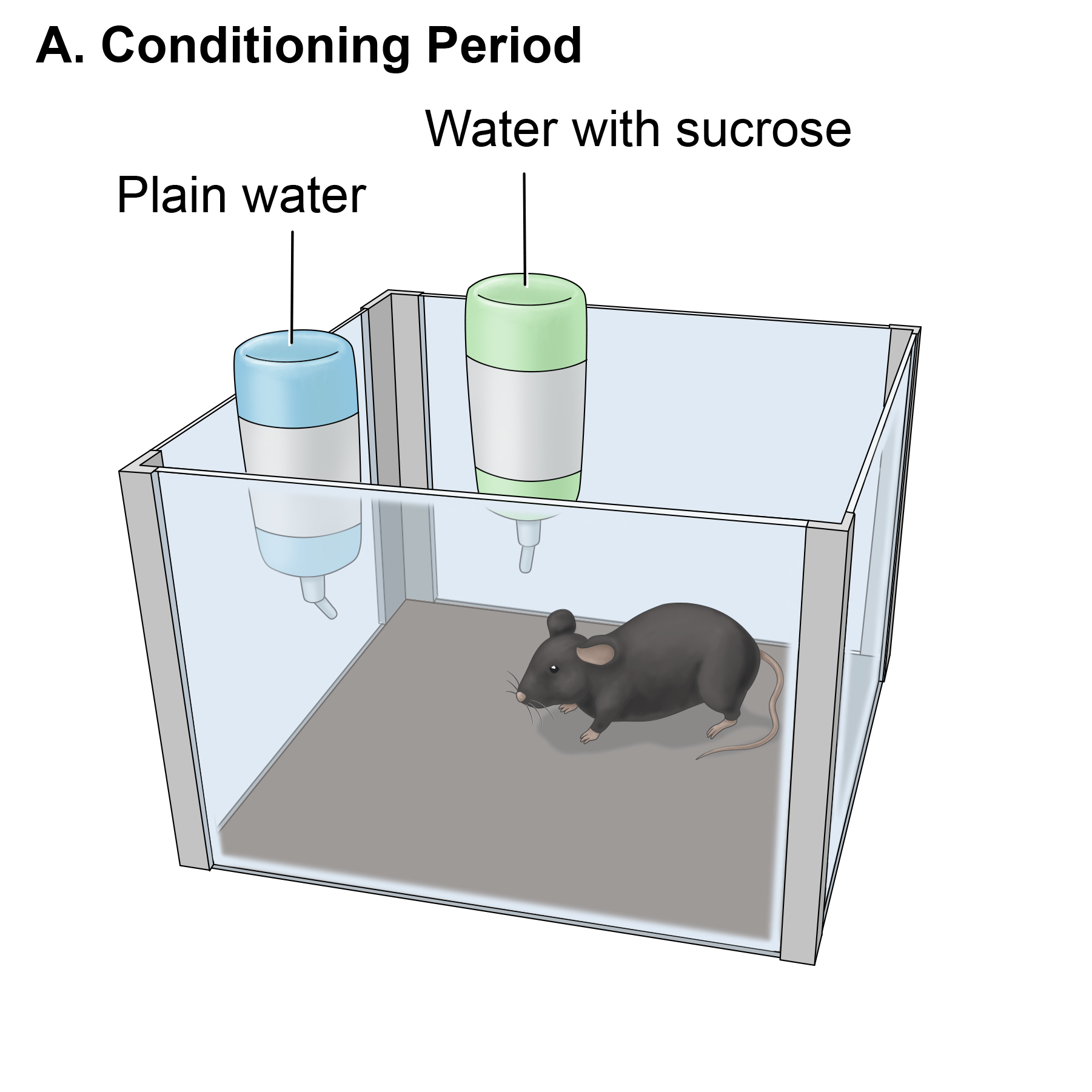 Conditioned Taste Aversion