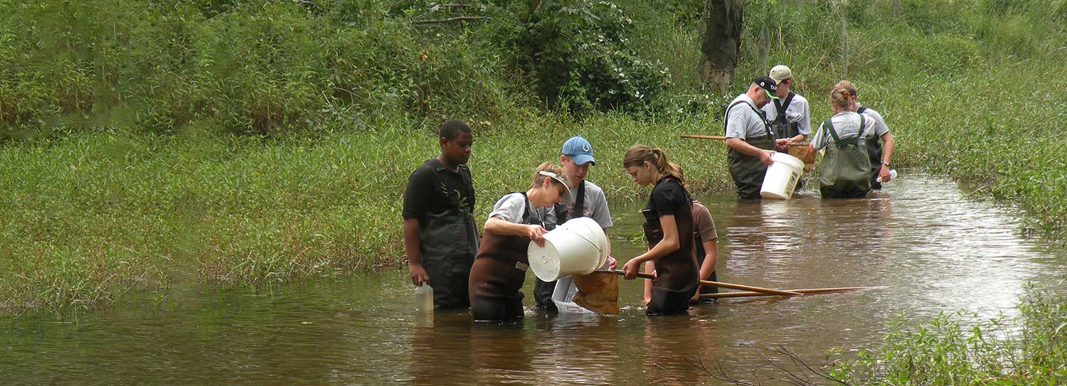 Students in a river collecting samples with nets