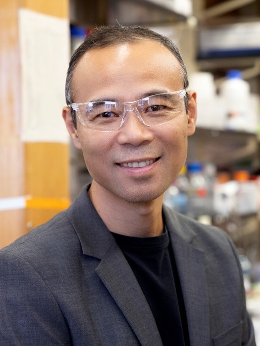 photo of Qian Wang, PhD Carolina Distinguished Professor Interim Associate Dean for the Natural Sciences