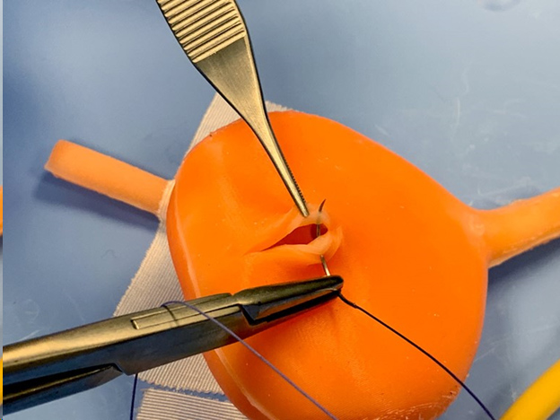simulated organ suturing with surgical needle and tools