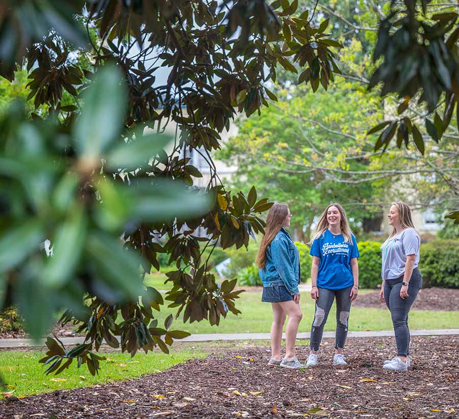 Three Female Greek Students Underneath Tree