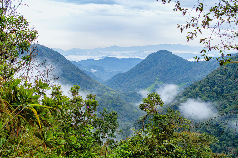 A layered mountain landscape viewed from a high lookout, dominated by lush green ridges receding into the distance. Low clouds and mist weave through the valleys, adding depth and a soft, atmospheric feel.