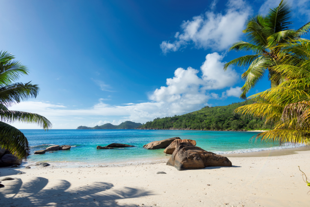beach landscape